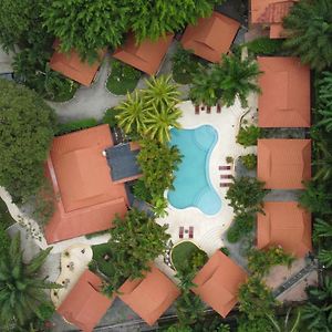 Hotel Ritmo Tropical - Pool And Breakfast